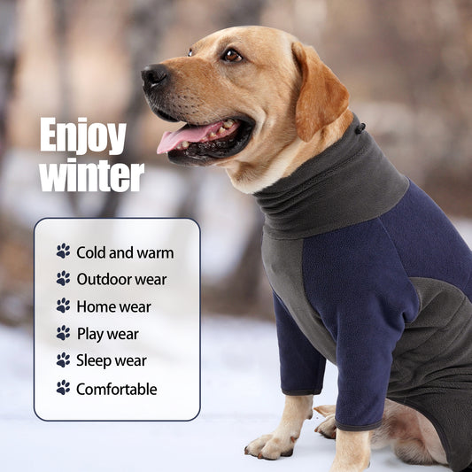 Dog wearing a winter outfit with text 'Enjoy winter' and features list.