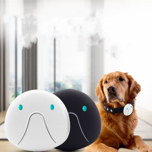 Two dog collars with electronic devices and a golden retriever wearing one of them indoors.