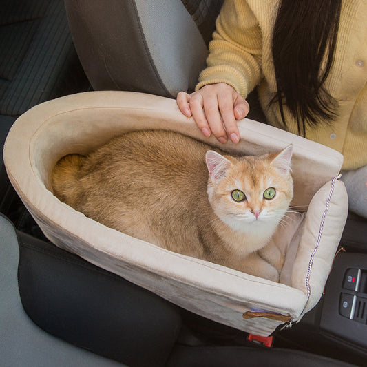 Cat in a pet carrier being held by a person inside a vehicle