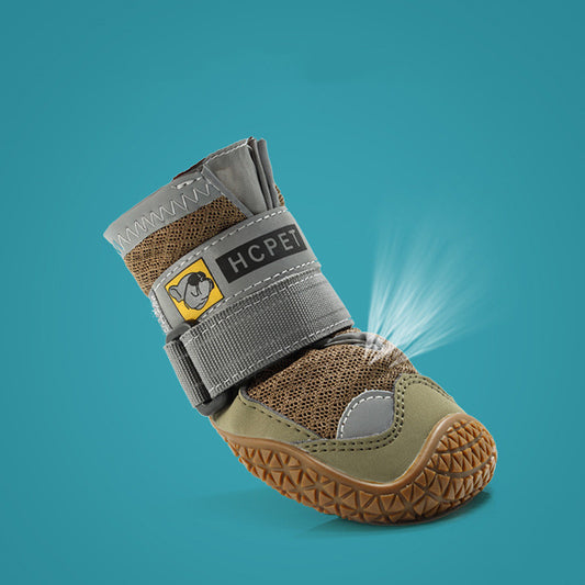 Pet boot with a glowing effect on a teal background