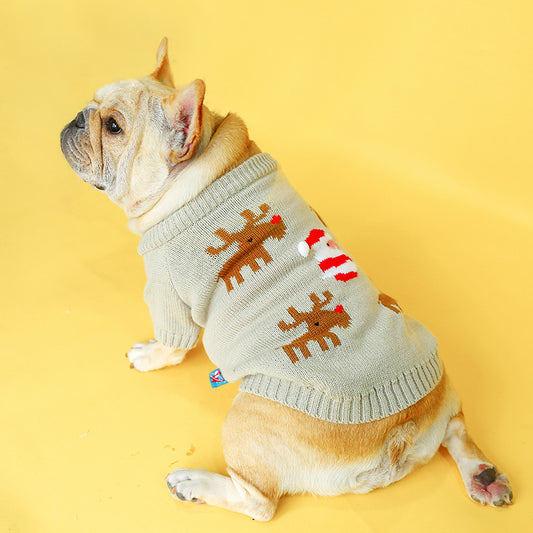 Dog wearing a sweater with reindeer patterns on a yellow background