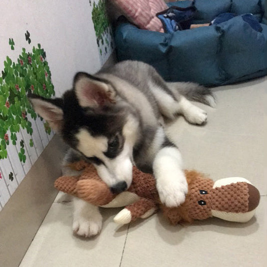 Plush Squeaky Puppy Chew Toy
