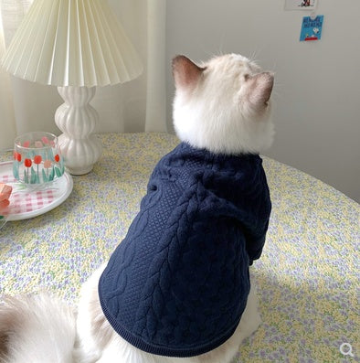 Small dog wearing a navy blue sweater sitting on a table with a lamp and decorative items in the background.