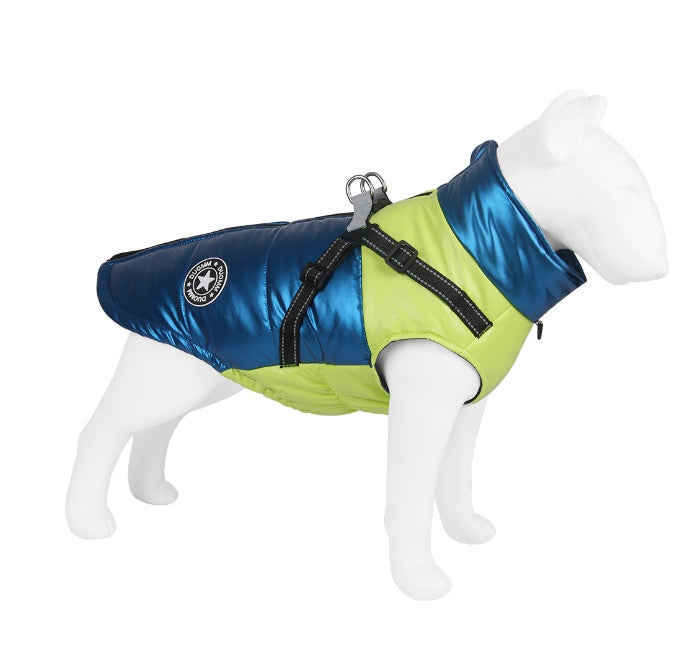 Dog wearing a blue and green puffer vest on a white background