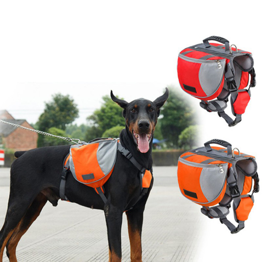 Dog wearing an orange and gray backpack with additional bags displayed above.