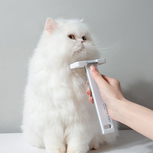 Person using a grooming tool on a fluffy white cat against a plain background