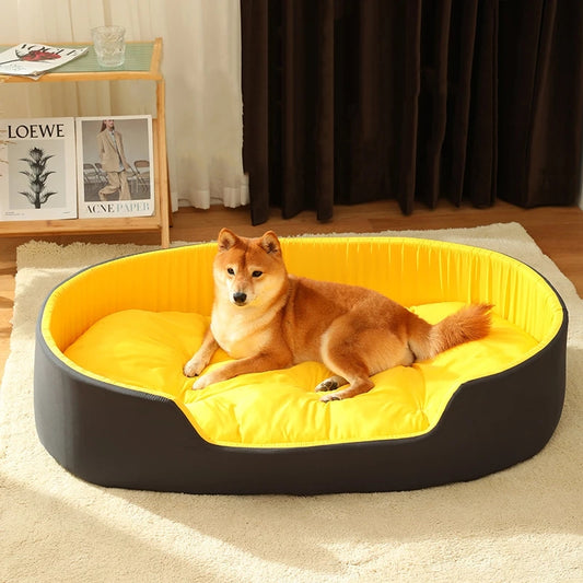 Dog lying on a yellow and black pet bed in a room with a Loewe poster and a curtain.