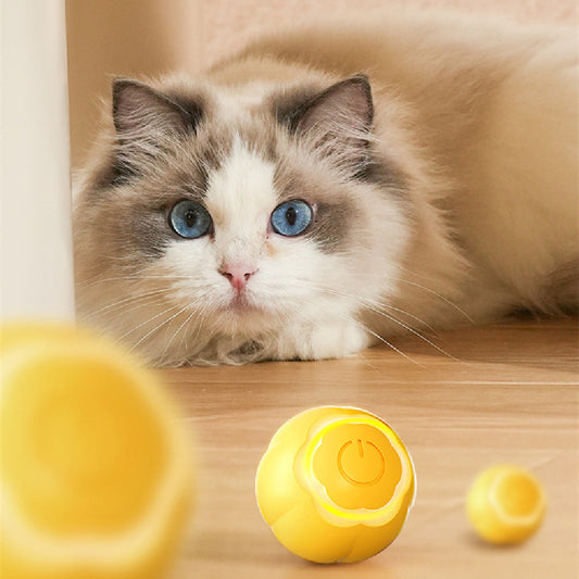 Rolling Ball Bite-Resistant Cat Toy