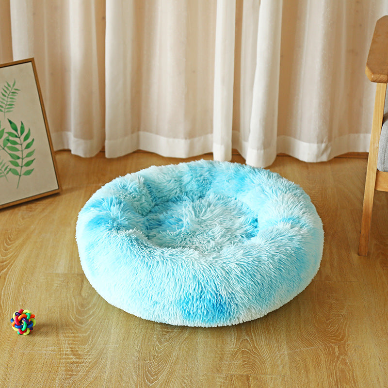 Blue fluffy pet bed on a wooden floor with a colorful toy and framed picture in the background.