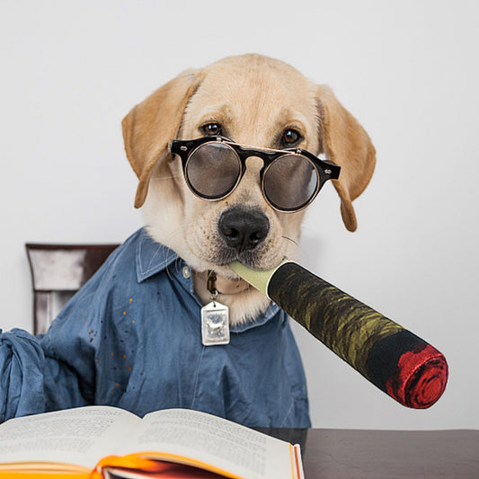 Dog wearing sunglasses and a blue shirt, holding a rolled-up document.