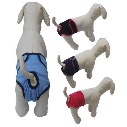 Dog mannequin wearing colorful dog diapers on a white background