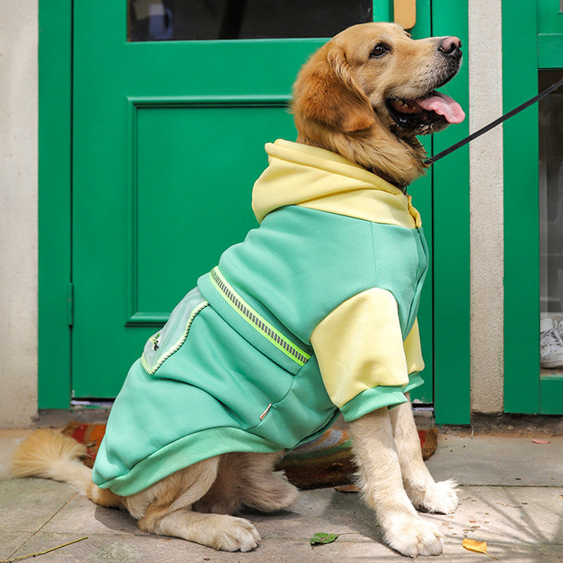 Dog wearing a green and yellow fleece coat sitting in front of a green door.
