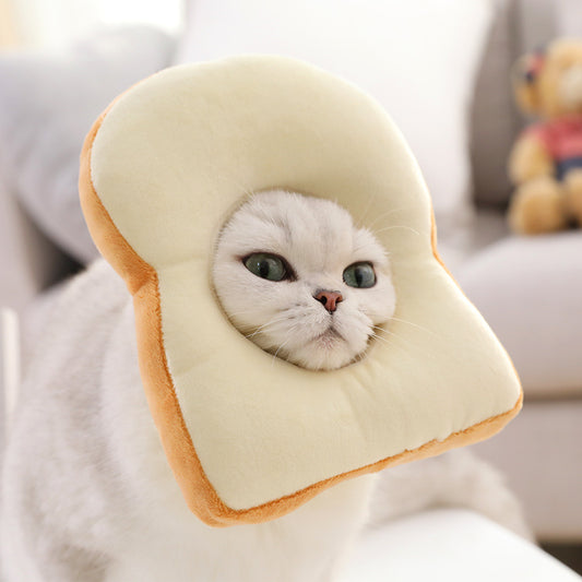 Cat wearing a bread-shaped hat with a soft focus background