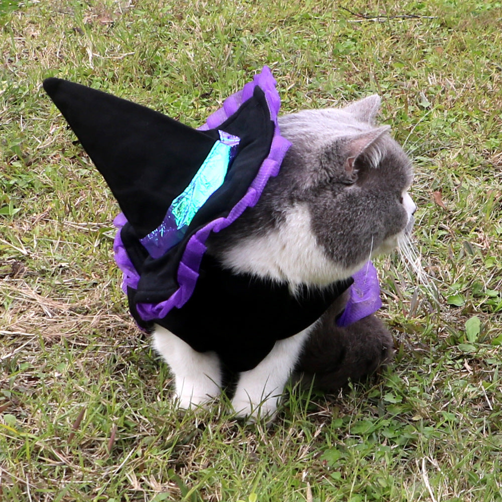 Cat wearing a witch costume with a black hat and purple accents on grass