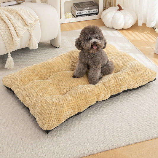 Dog sitting on a plush beige pet bed in a cozy living room.