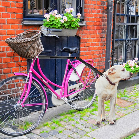 Pink bicycle with a basket and a dog standing next to it on a street.