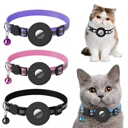 Picture of 2 cats wear the Apple Air Tag collar