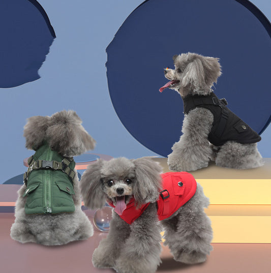 Three small dogs wearing colorful vests on a blue and yellow gradient background