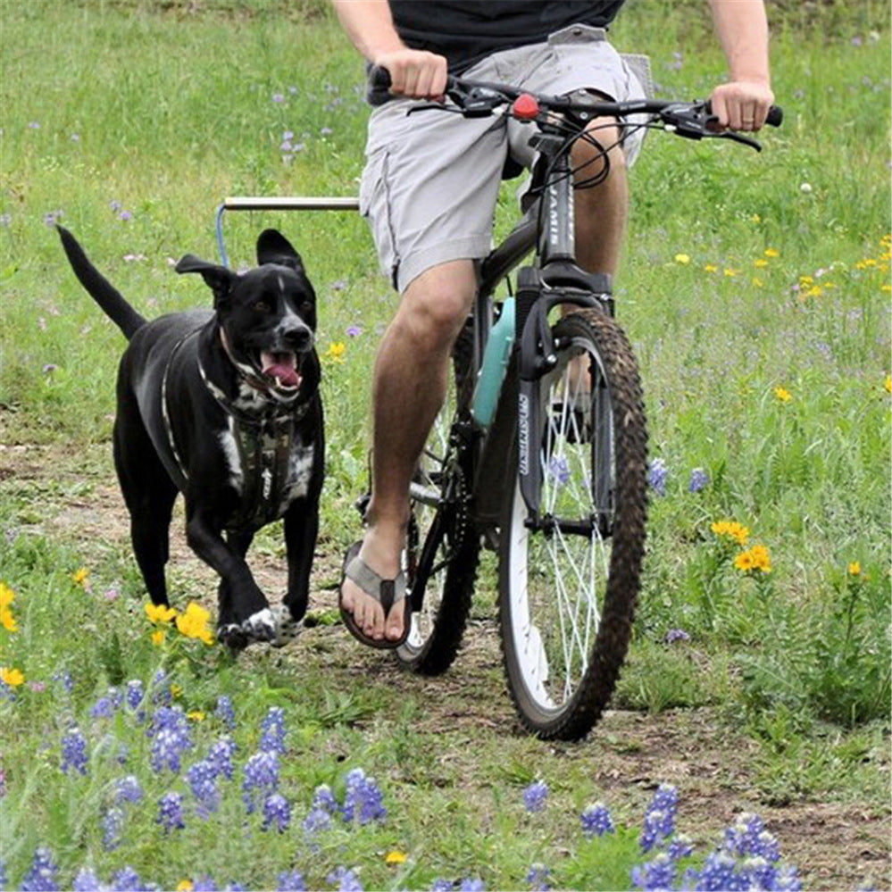 Person riding a bicycle with a dog walking beside them in a grassy field with flowers.