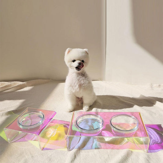 Small white dog sitting on a bed with colorful pet bowls in front of it.
