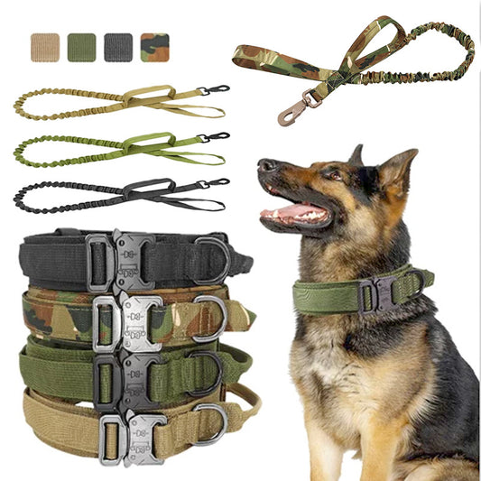 Dog collar and leash set with camouflage patterns on a white background