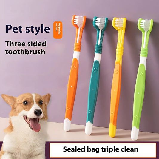Four colorful pet toothbrushes with a dog in the background on a purple background