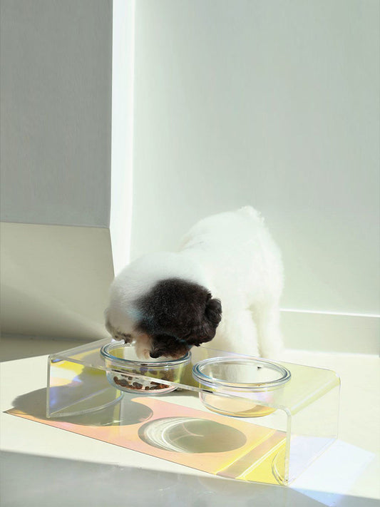 Dog drinking from a transparent bowl on a modern pet stand with a white background