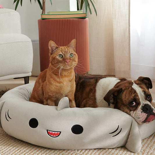 Cat and dog lying on a shark-shaped pet bed in a cozy living room.