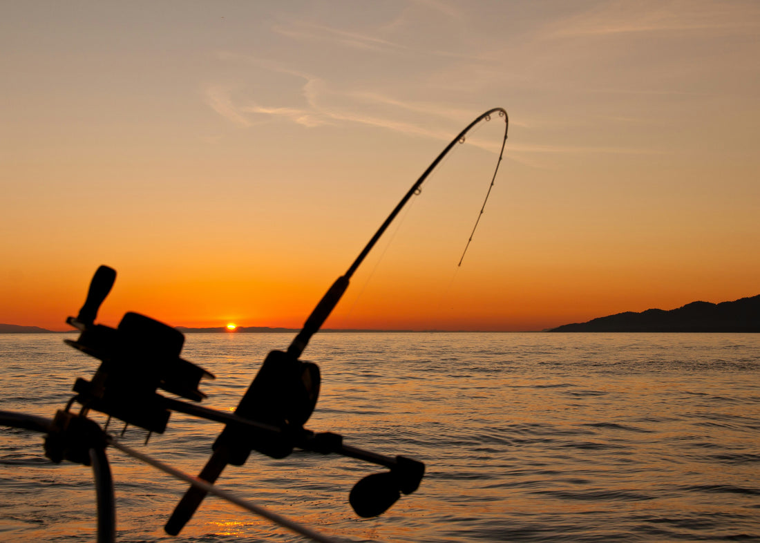 fishing on a lake