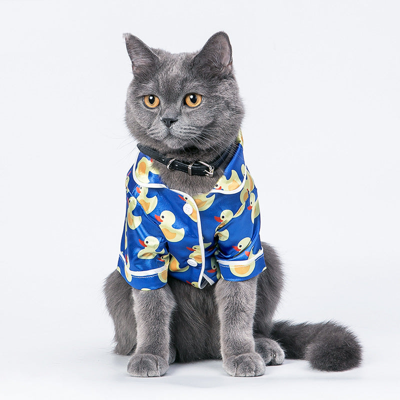 Pet Accessories &Pet Accessories & Wearables | River's Corner