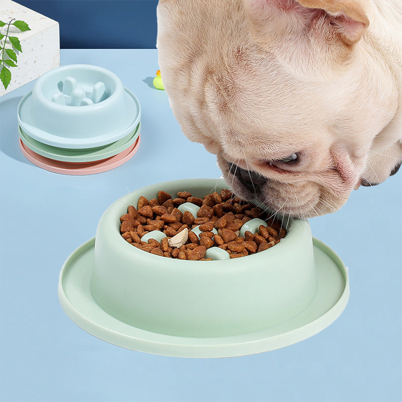 Pet Feeding Essentials