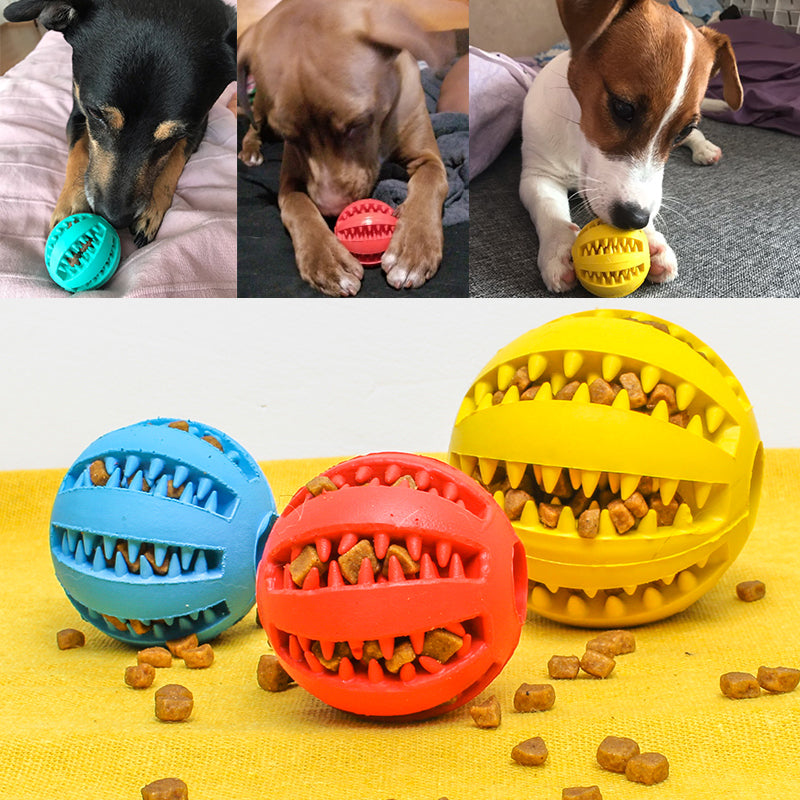 Three dogs playing with different colored rubber balls on a yellow surface with treats.