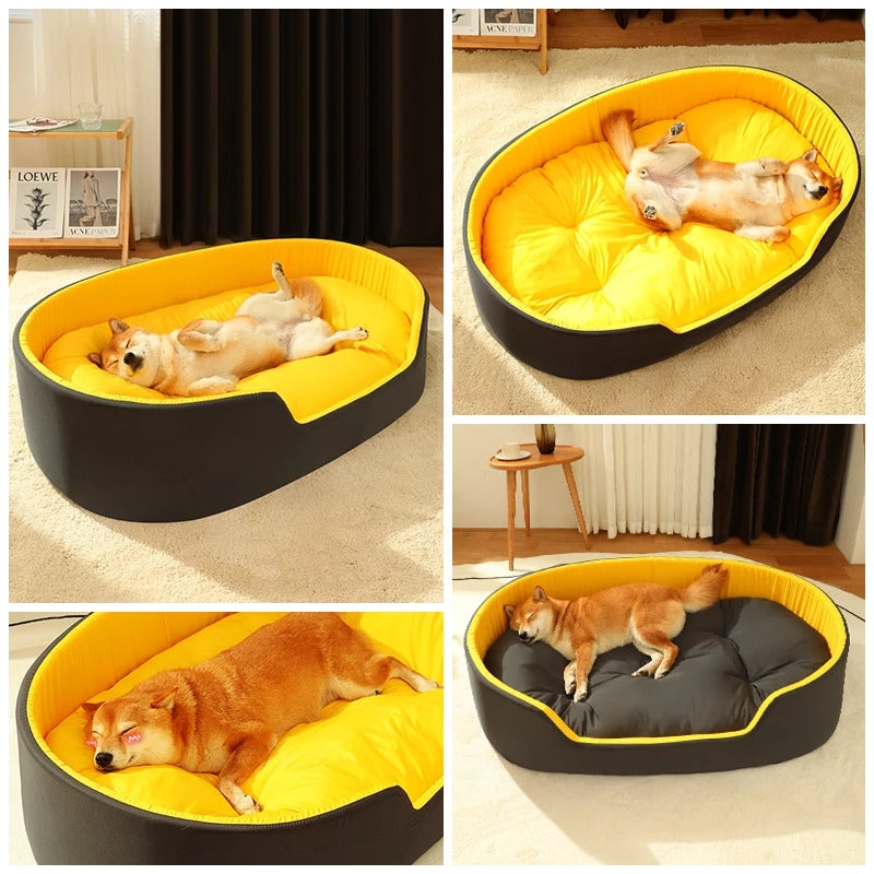 Collage of a dog lying on a yellow and black pet bed in various settings.