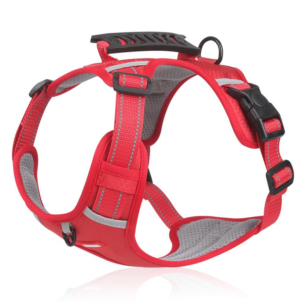 Red dog harness with black straps on a white background