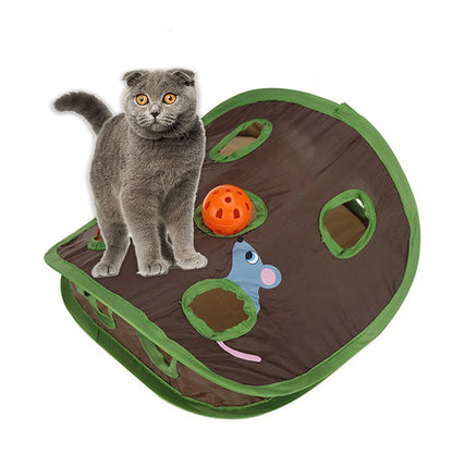 Cat playing with a tunnel toy with a ball and mouse decoration on a white background