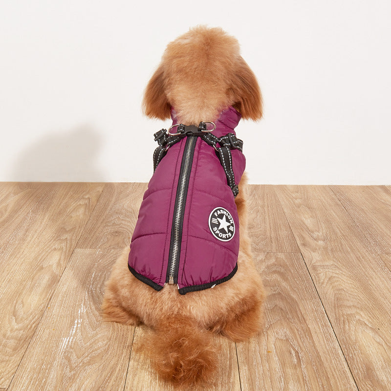 Small dog wearing a purple puffer vest with a brand logo on a wooden floor.