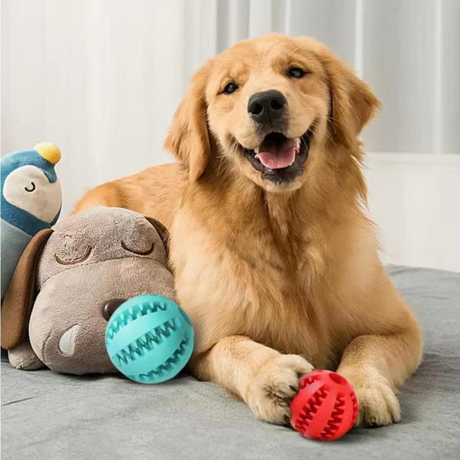 Dog lying on a bed with toys including a blue ball and red rubber toy, with plush toys in the background.