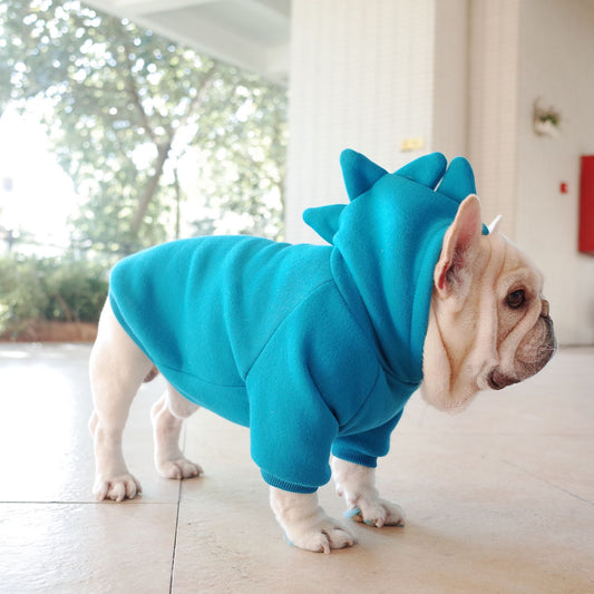 Dog wearing a blue dinosaur costume indoors