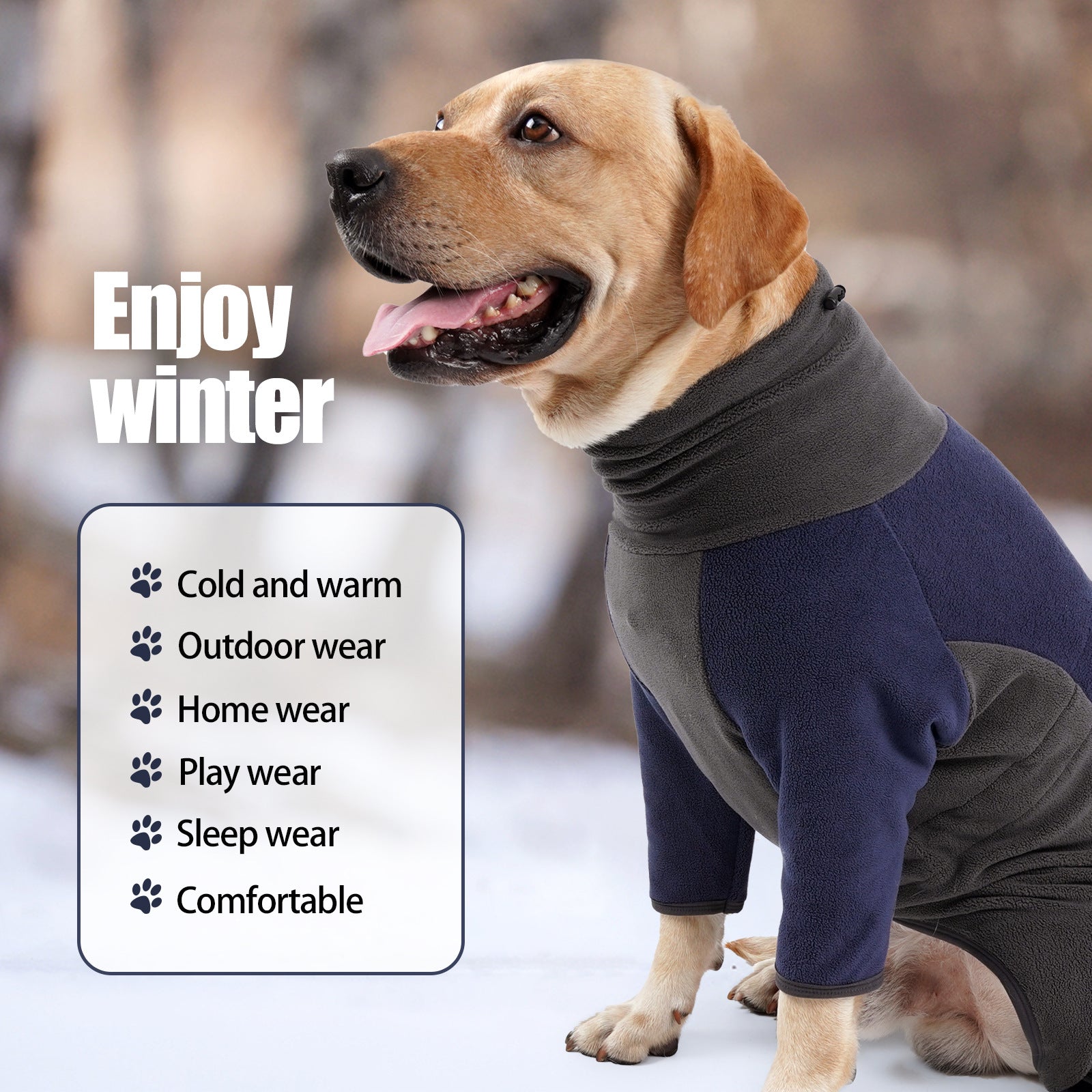 Dog wearing a winter outfit with text 'Enjoy winter' and features list.