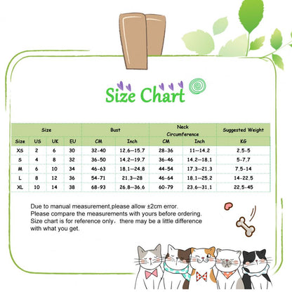 Cat size chart with measurements and illustrations on a white background