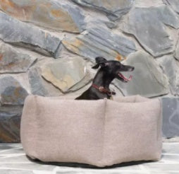 Dog in a beige dog bed against a stone wall