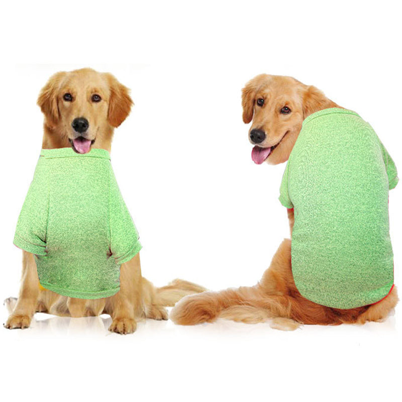 Two golden retrievers wearing green sweaters on a white background