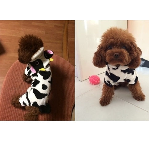 Dog wearing a cow print outfit on a wooden floor and white floor.