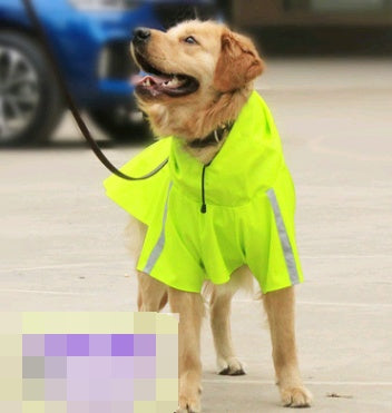 Dog wearing a bright green raincoat on a street.