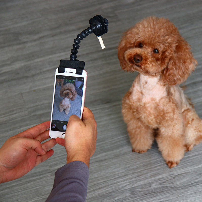 Person taking a photo of a small brown dog with a smartphone and flexible tripod attachment.