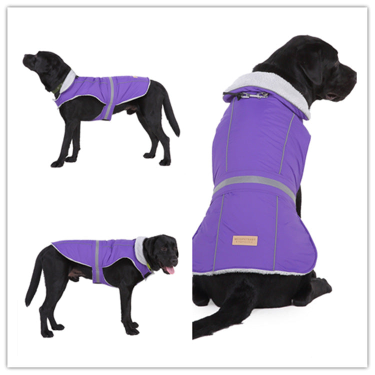 Purple dog coat with reflective stripes on a black dog, shown from multiple angles.
