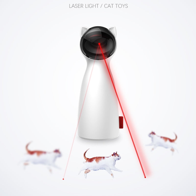 Cat toy with laser light on a white background