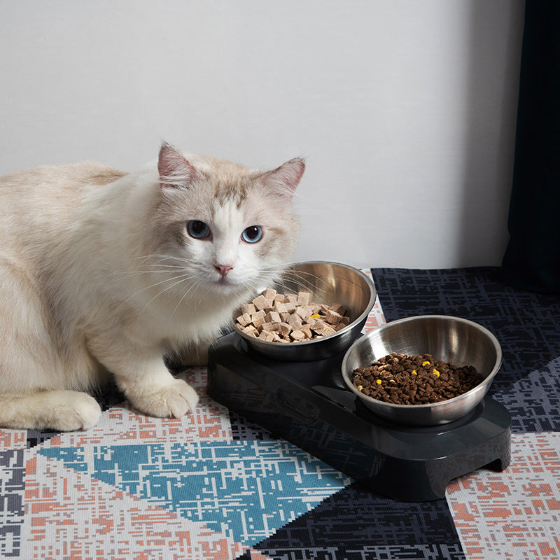 Cat sitting next to two bowls of food on a patterned rug.