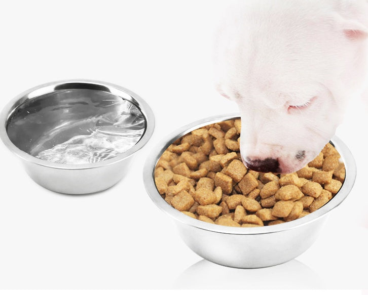 Dog eating from a bowl of kibble with a water bowl on a white background
