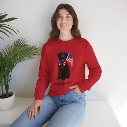 Woman sitting wearing a red sweatshit with black lab image and American flag and the message Born to Be Free
